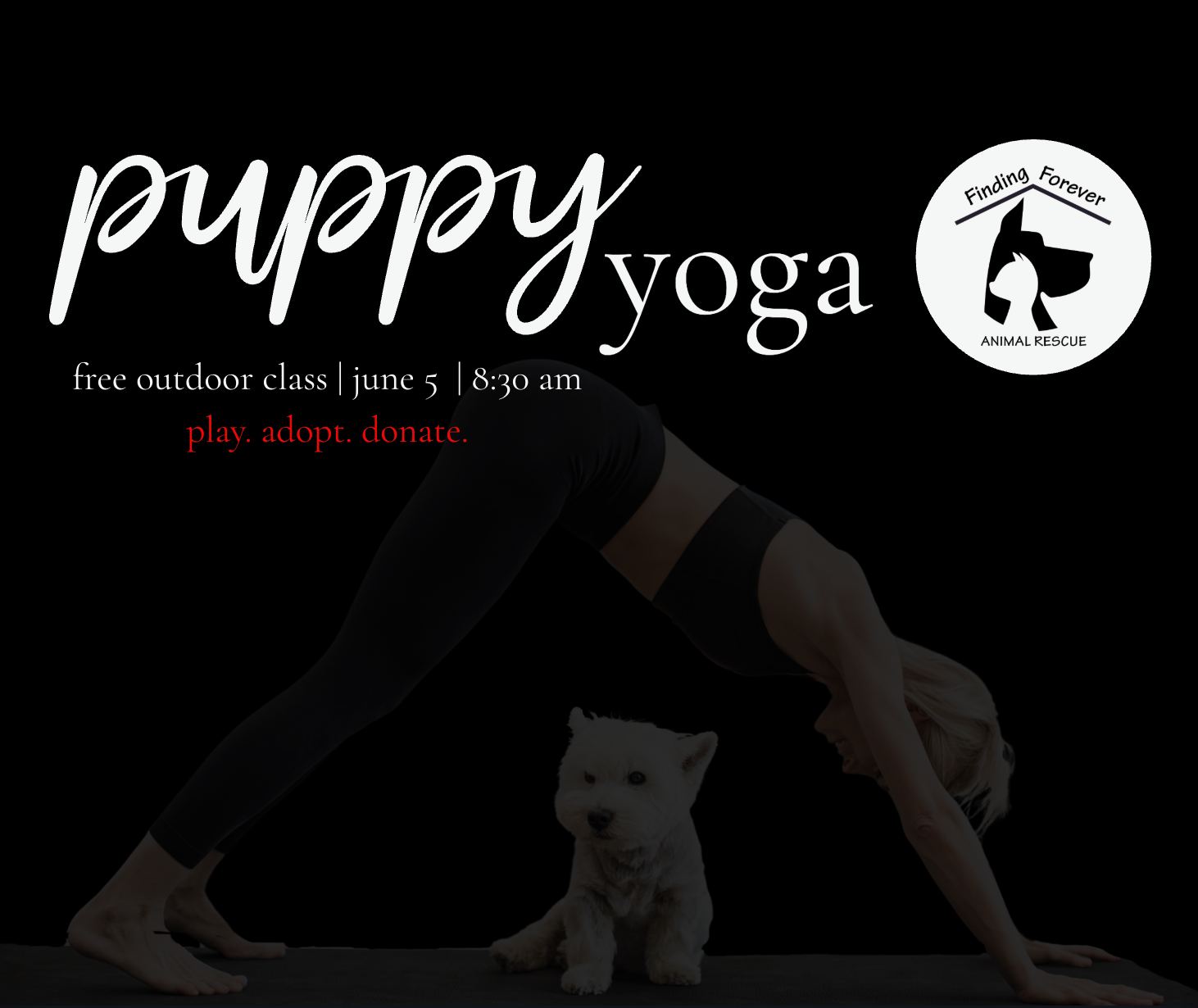 visit-puppy-yoga-class