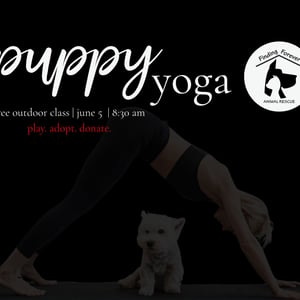 visit-puppy-yoga-class