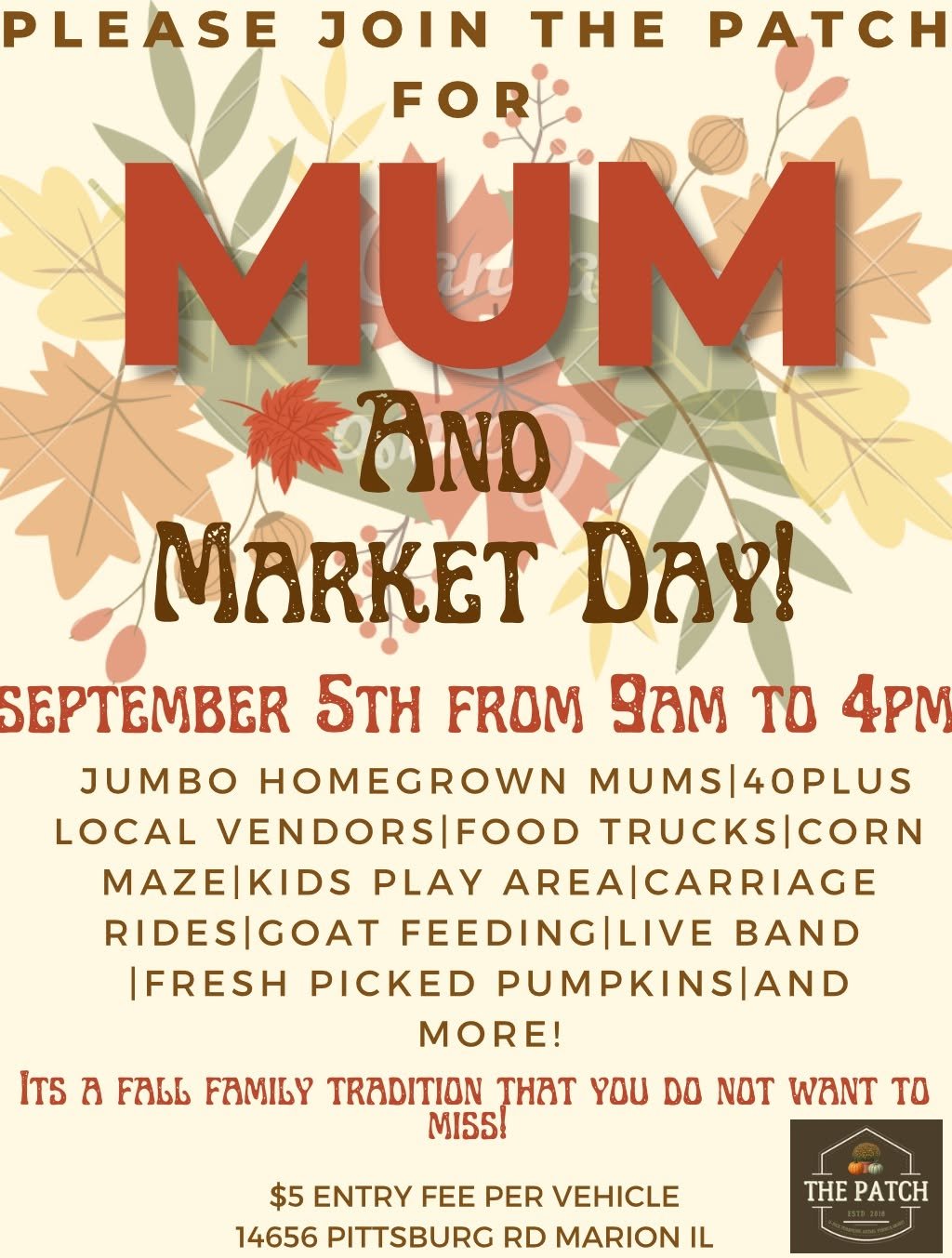 The-Patchy-Mum-and-Market-Day-Marion-Illinois