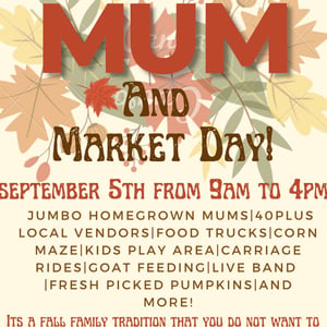 The-Patchy-Mum-and-Market-Day-Marion-Illinois