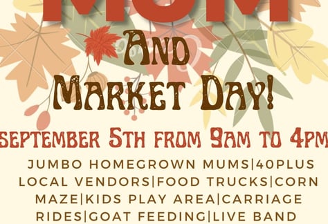 The-Patchy-Mum-and-Market-Day-Marion-Illinois