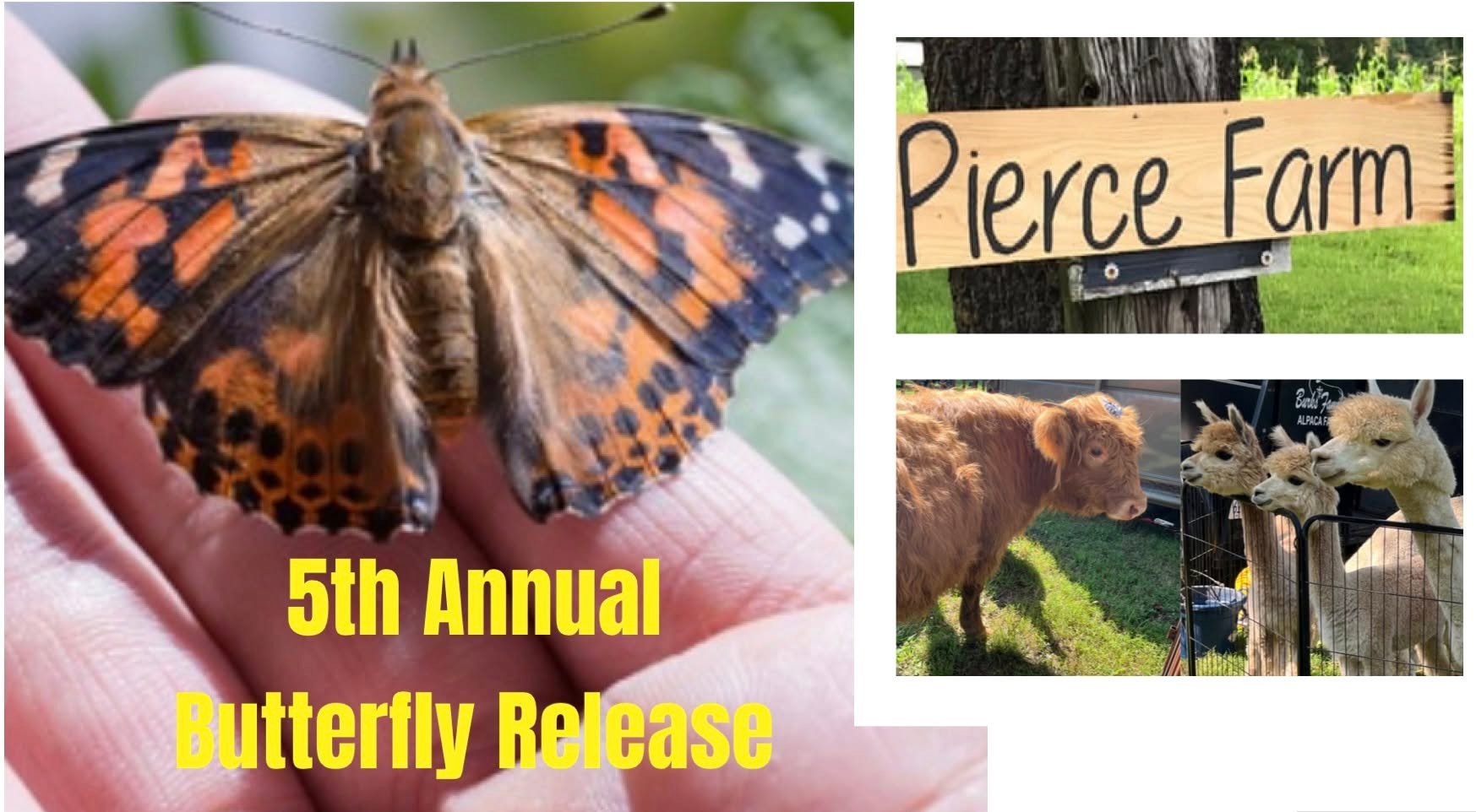 Pierce-Farm-Butterfly-Release