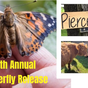 Pierce-Farm-Butterfly-Release