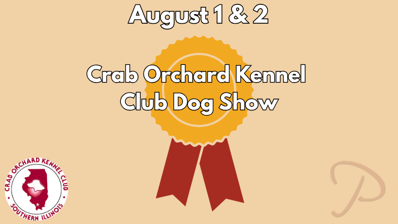 visit-Crab-Kennel-dog-show