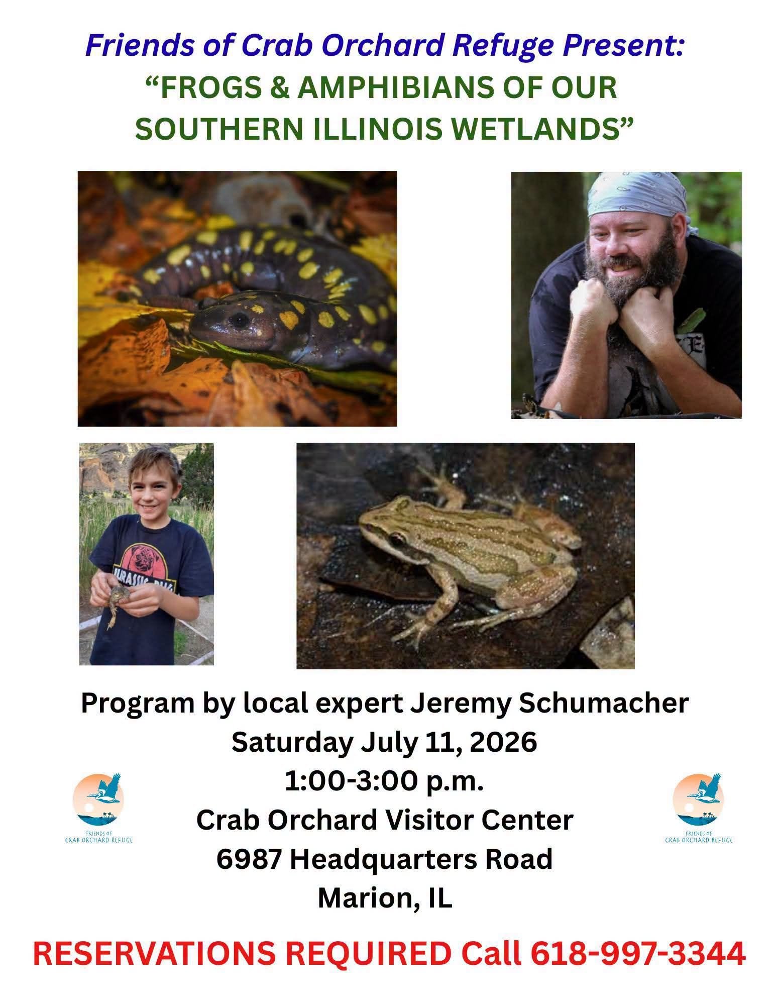 visit-Frogs-and-amphibians-southern-illinois