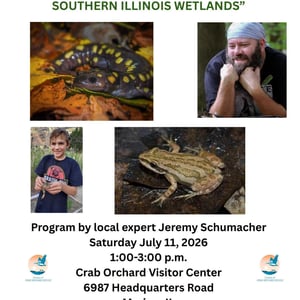 visit-Frogs-and-amphibians-southern-illinois