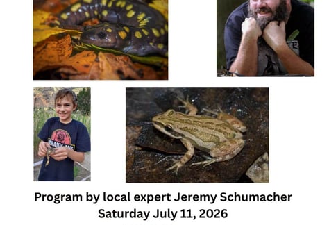 visit-Frogs-and-amphibians-southern-illinois