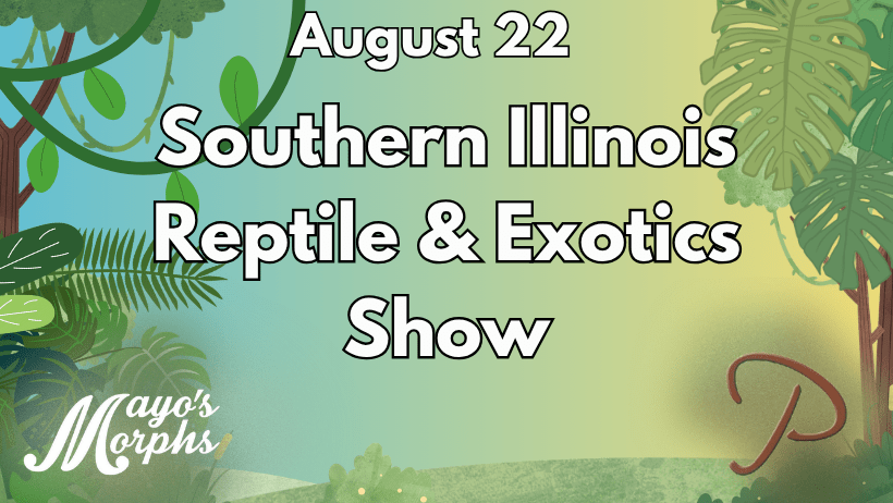 visit-SI-REP-AND-EXOTIC-marion-illinois