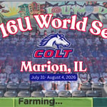 visit-colt-world-series-marion-illinois