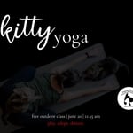 visit-kitty-yoga-marion-illinois