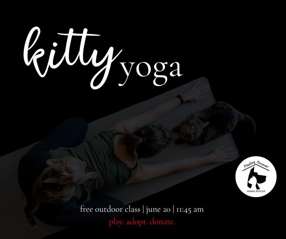 visit-kitty-yoga-marion-illinois
