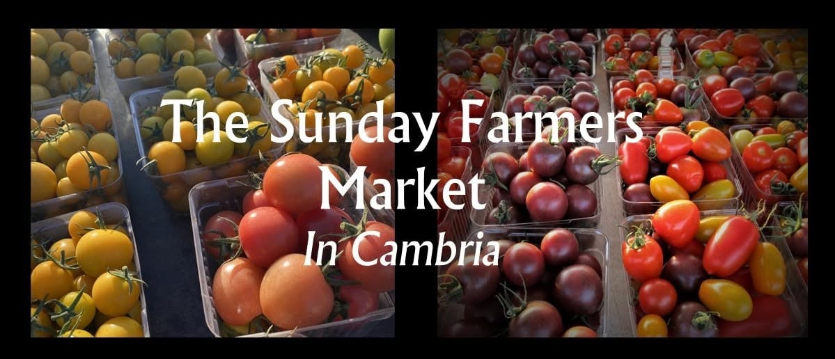 Cambria-sunday-farmers-market