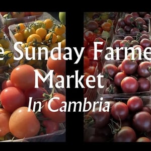 Cambria-sunday-farmers-market