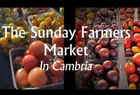 Cambria-sunday-farmers-market