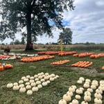 october-blog-southern-illinois
