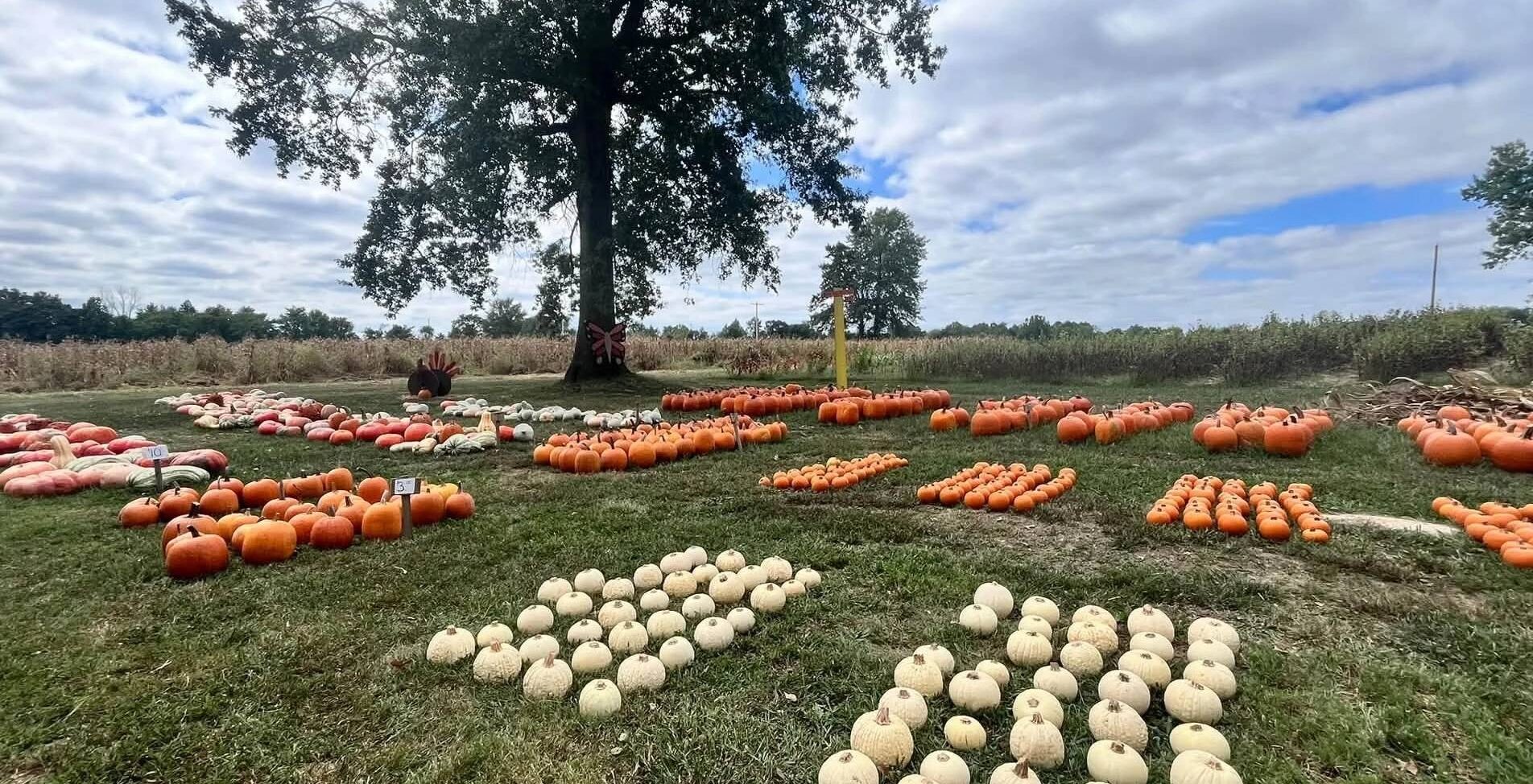 october-blog-southern-illinois