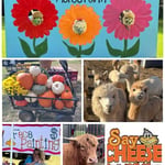 visit-pierce-farm-southern-illinois