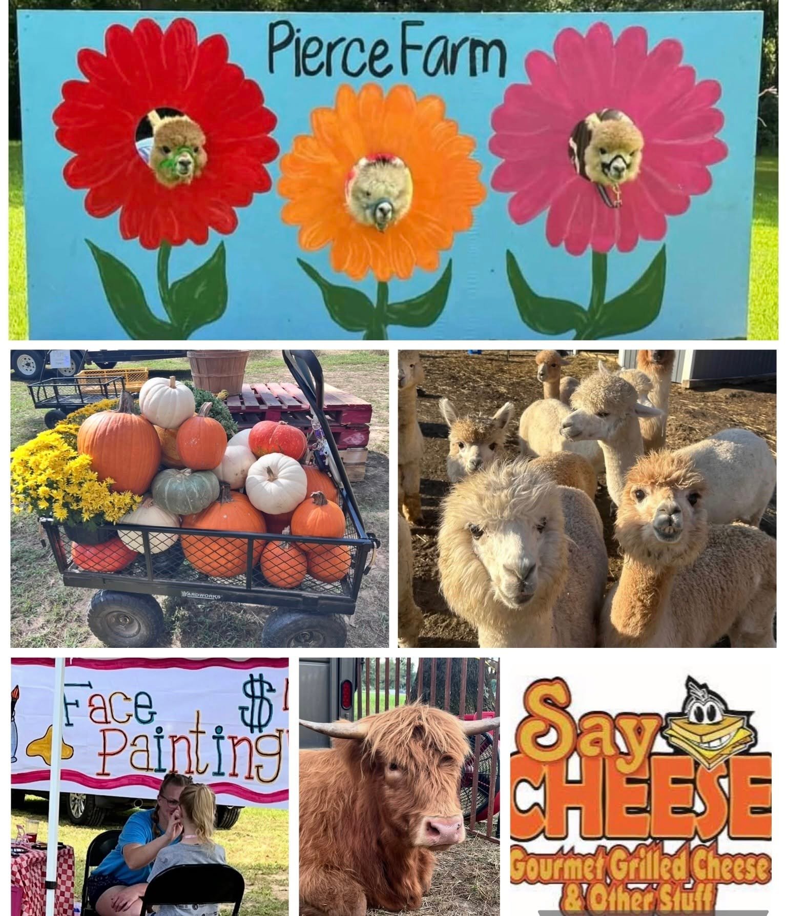 visit-pierce-farm-southern-illinois