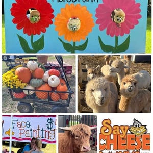 visit-pierce-farm-southern-illinois