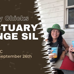 visit-whiskey-chicks-sanctuary-lounge