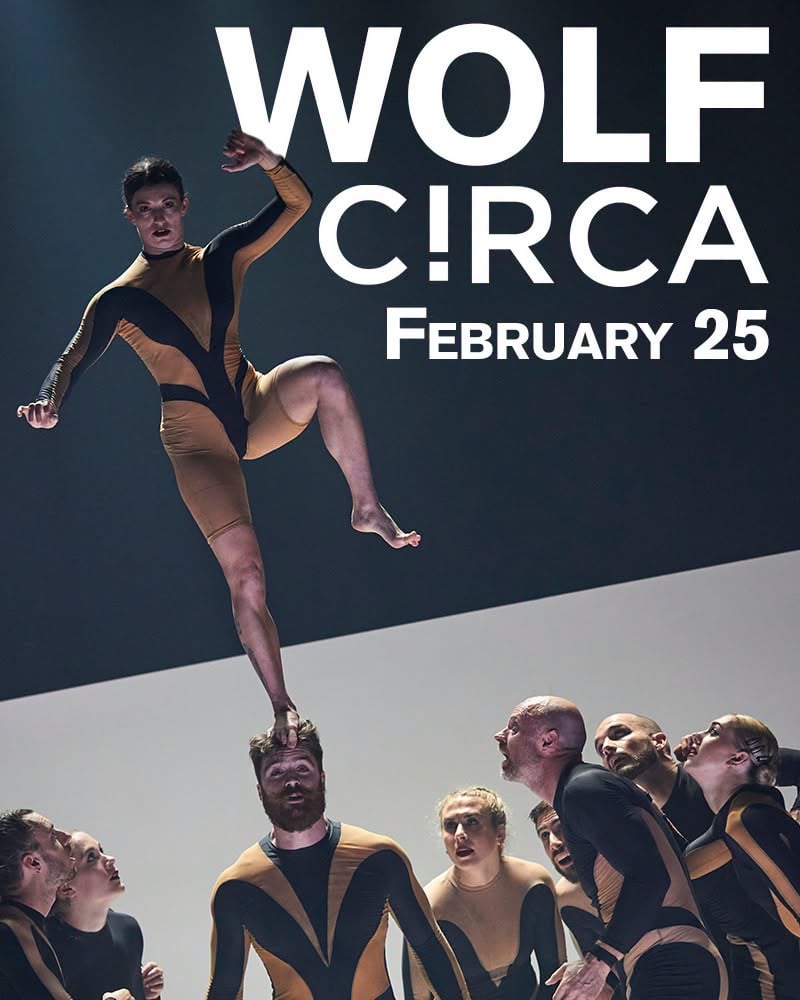 visit-wolf-circa-marion-cultural-civic-center